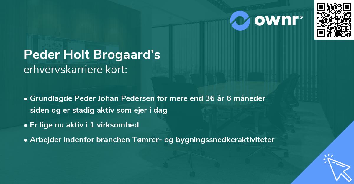 Peder Holt Brogaard's erhvervskarriere kort