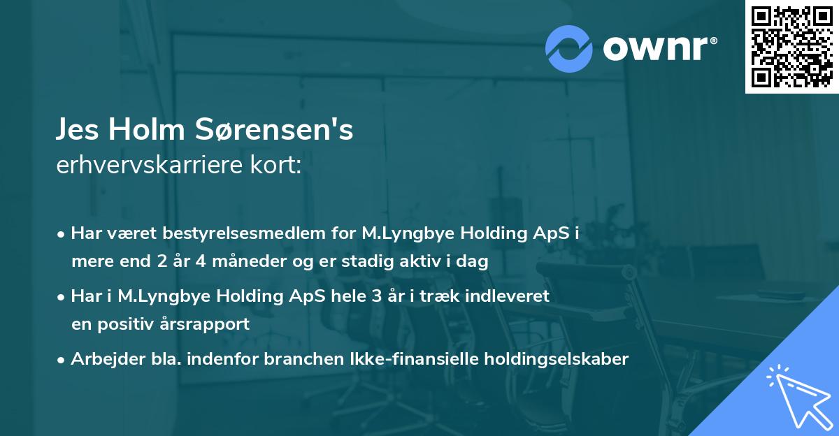 Jes Holm Sørensen's erhvervskarriere kort