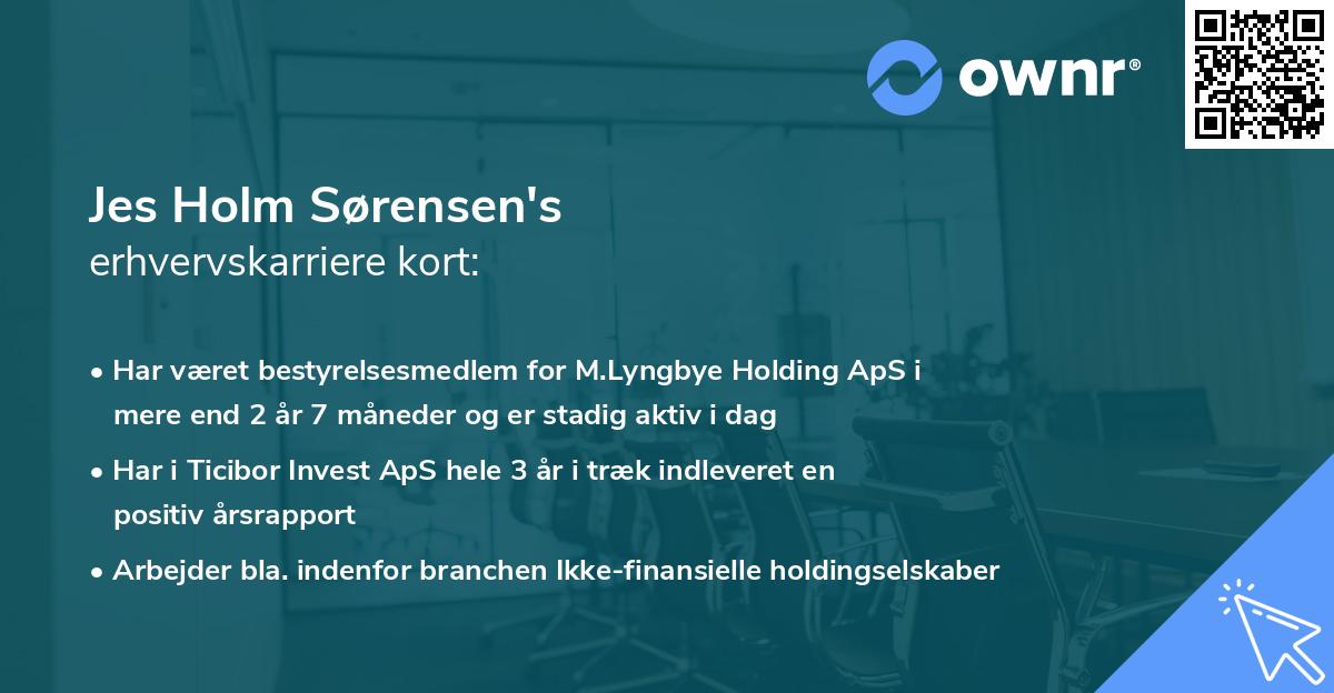 Jes Holm Sørensen's erhvervskarriere kort