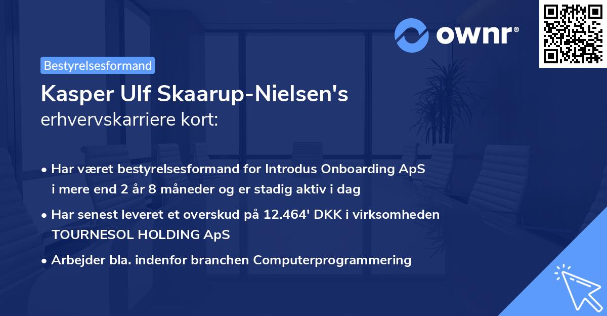 Kasper Ulf Skaarup-Nielsen's erhvervskarriere kort