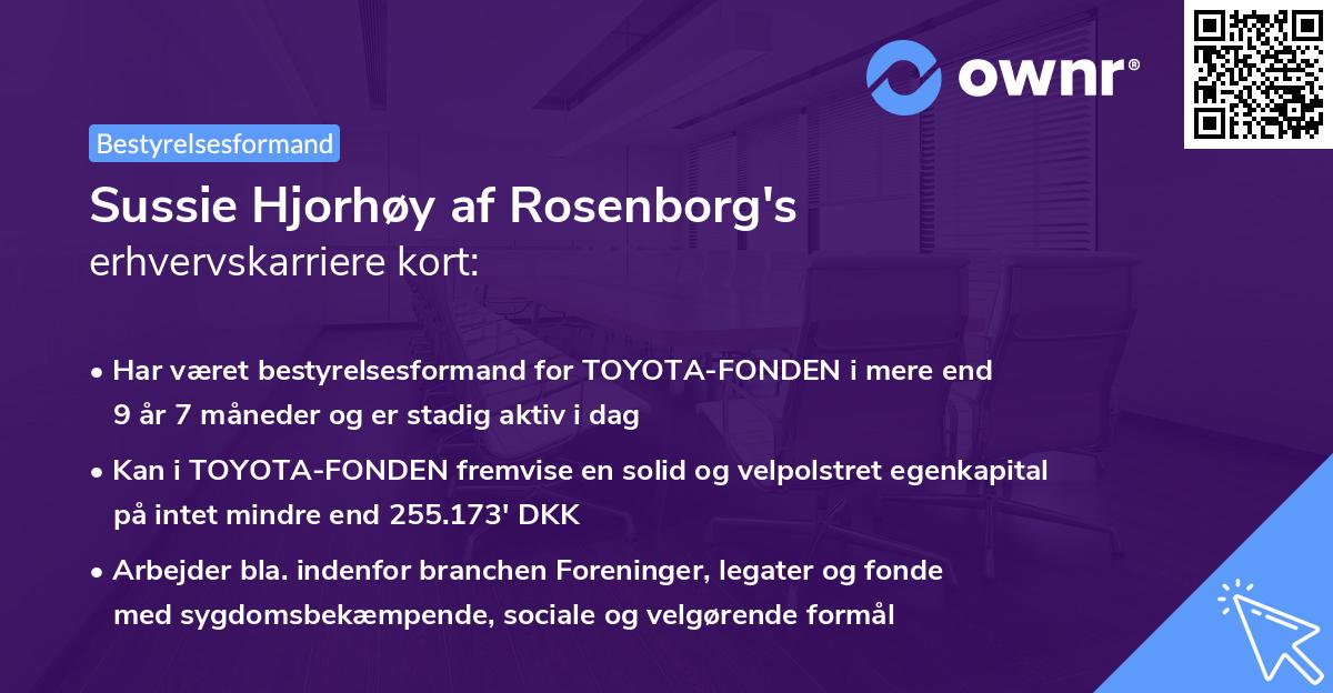 Sussie Hjorhøy af Rosenborg's erhvervskarriere kort
