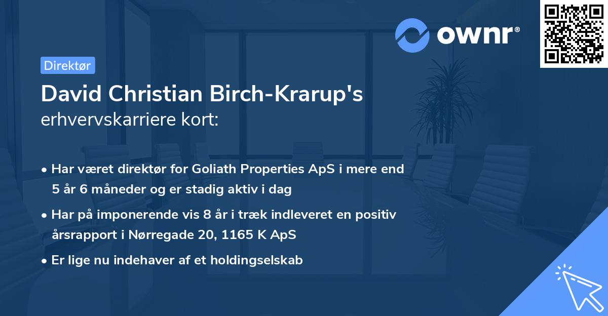 David Christian Birch-Krarup's erhvervskarriere kort