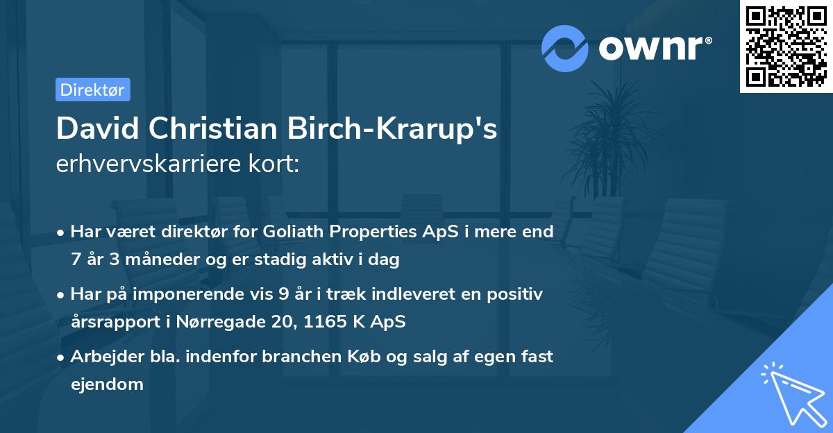 David Christian Birch-Krarup's erhvervskarriere kort