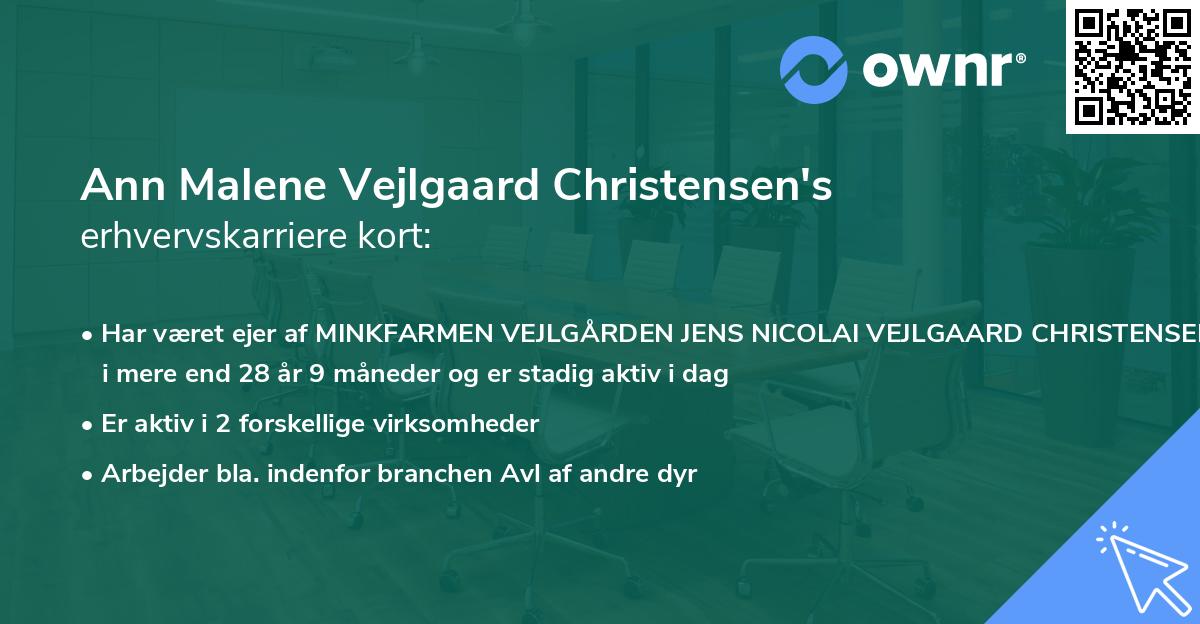 Ann Malene Vejlgaard Christensen's erhvervskarriere kort