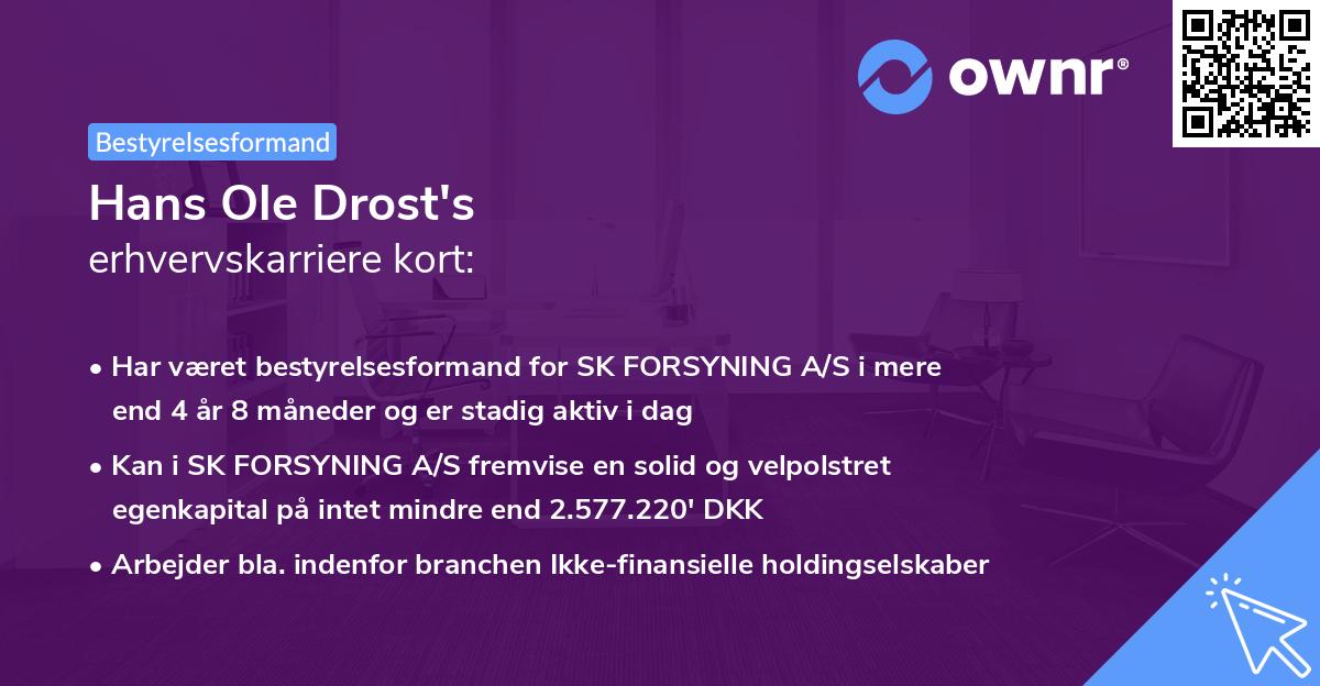 Hans Ole Drost's erhvervskarriere kort