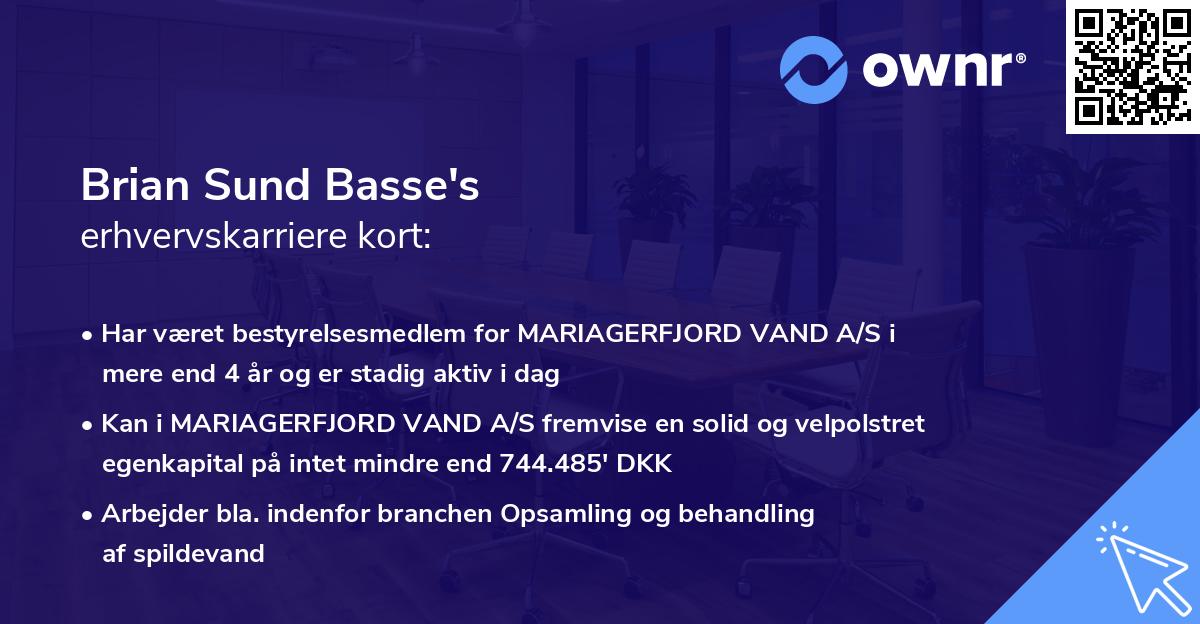Brian Sund Basse's erhvervskarriere kort