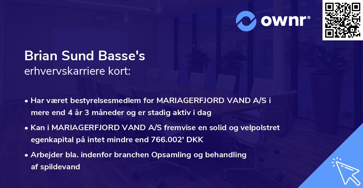 Brian Sund Basse's erhvervskarriere kort