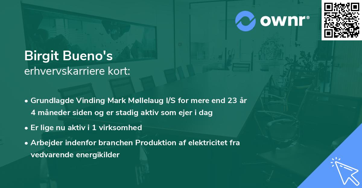 Birgit Bueno's erhvervskarriere kort