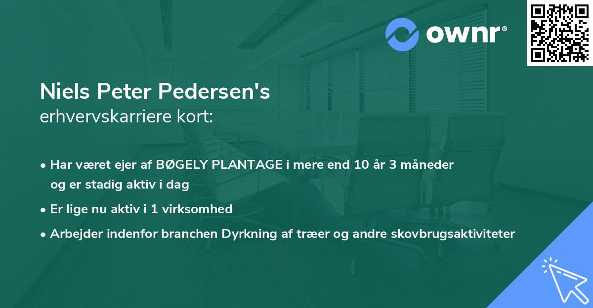 Niels Peter Pedersen's erhvervskarriere kort
