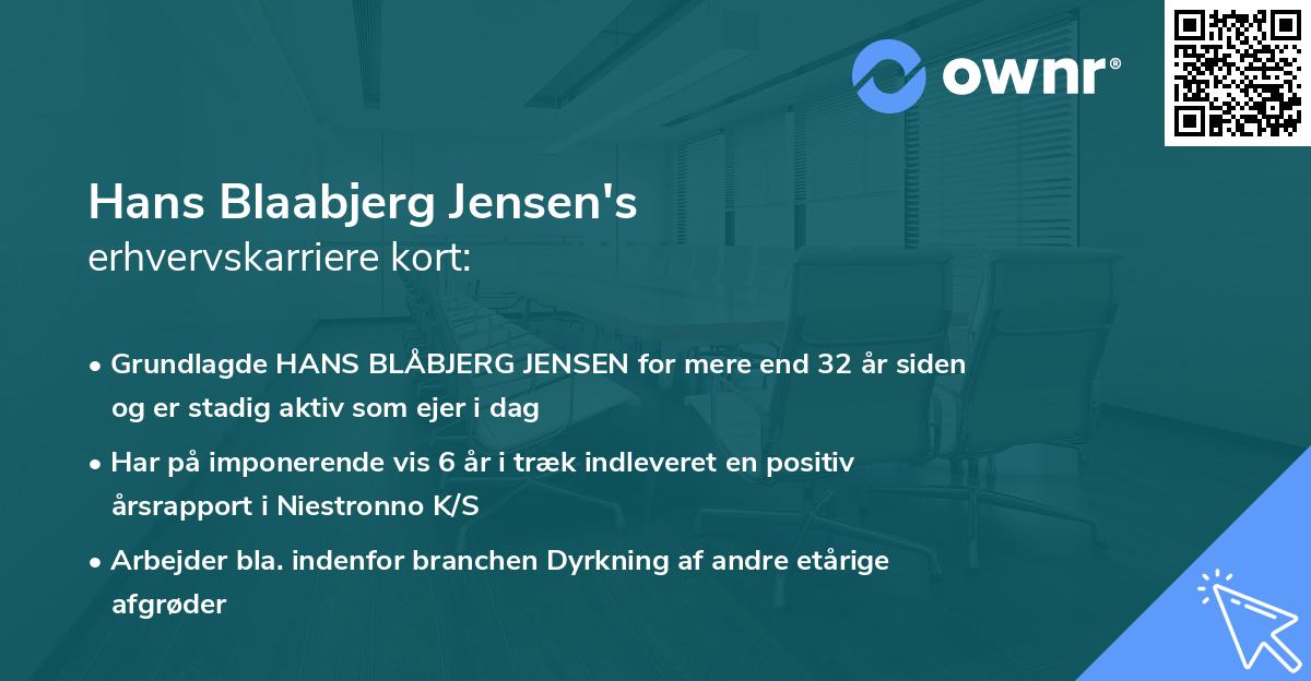 Hans Blaabjerg Jensen's erhvervskarriere kort