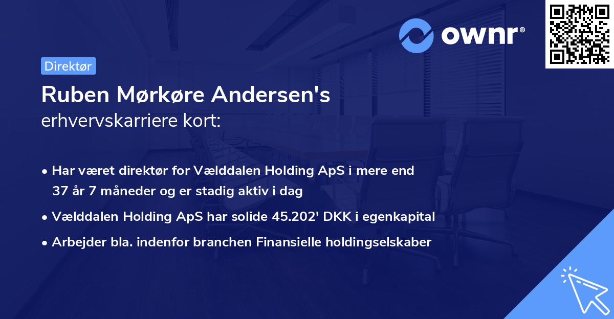 Ruben Mørkøre Andersen's erhvervskarriere kort
