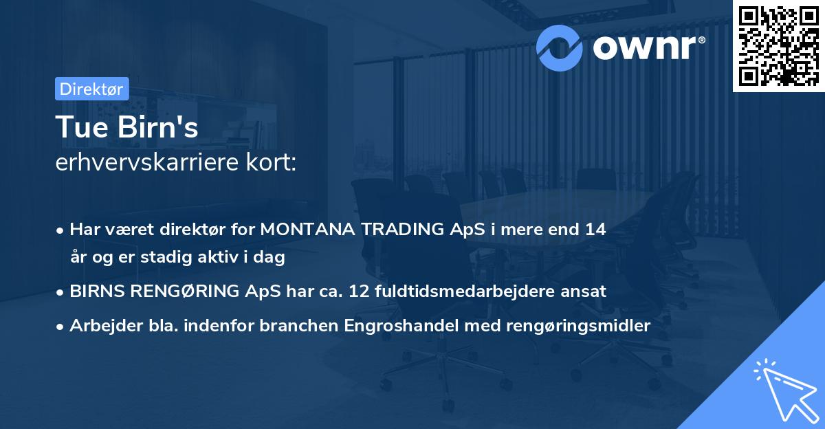 Tue Birn's erhvervskarriere kort