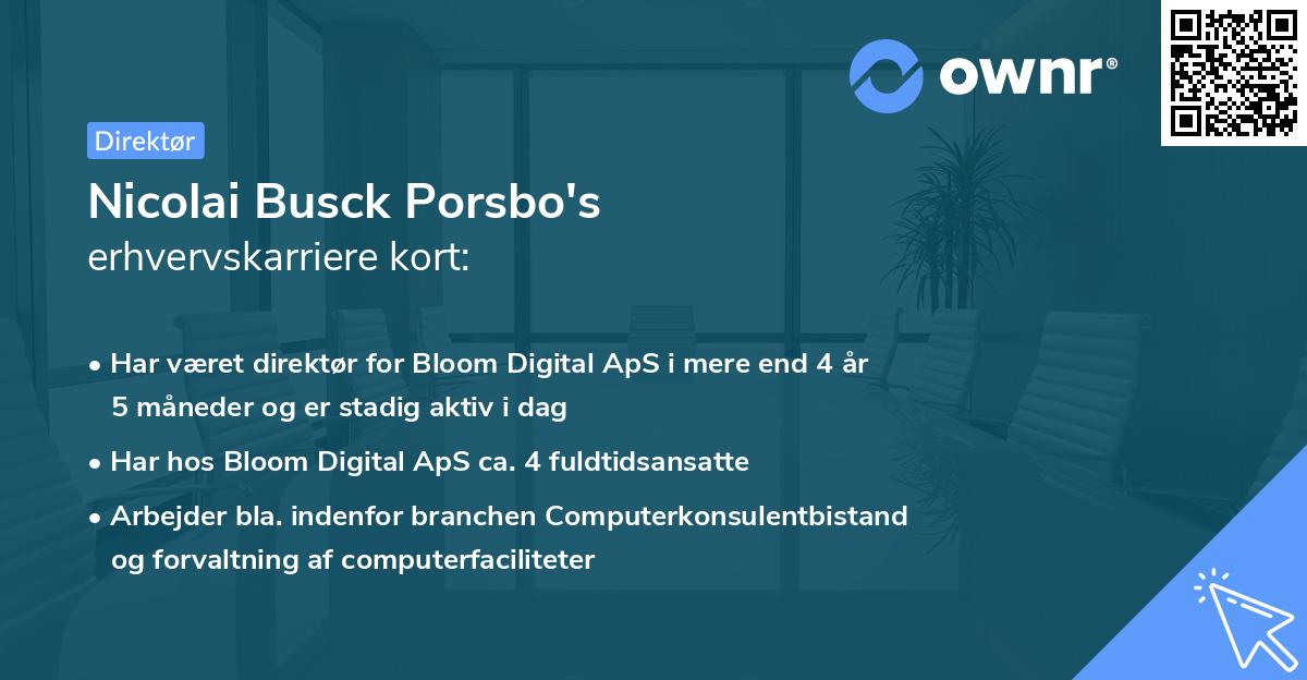 Nicolai Busck Porsbo's erhvervskarriere kort