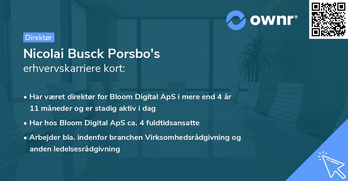 Nicolai Busck Porsbo's erhvervskarriere kort