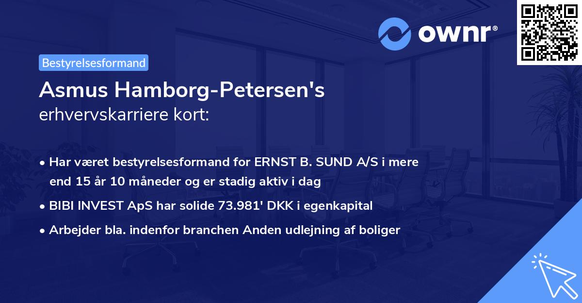 Asmus Hamborg-Petersen's erhvervskarriere kort