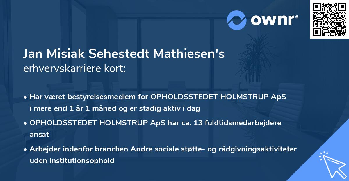 Jan Misiak Sehestedt Mathiesen's erhvervskarriere kort