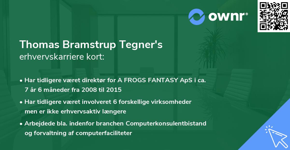 Thomas Bramstrup Tegner's erhvervskarriere kort