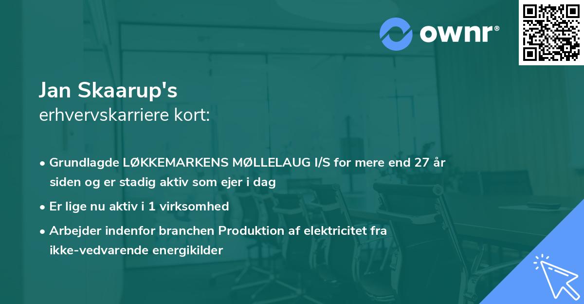 Jan Skaarup's erhvervskarriere kort