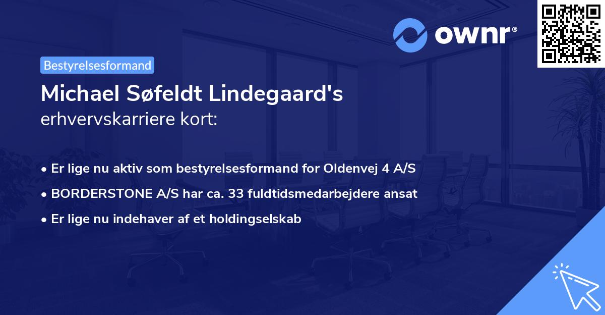 Michael Søfeldt Lindegaard's erhvervskarriere kort