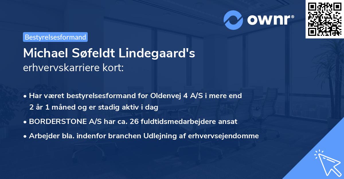 Michael Søfeldt Lindegaard's erhvervskarriere kort