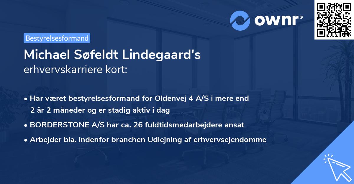 Michael Søfeldt Lindegaard's erhvervskarriere kort