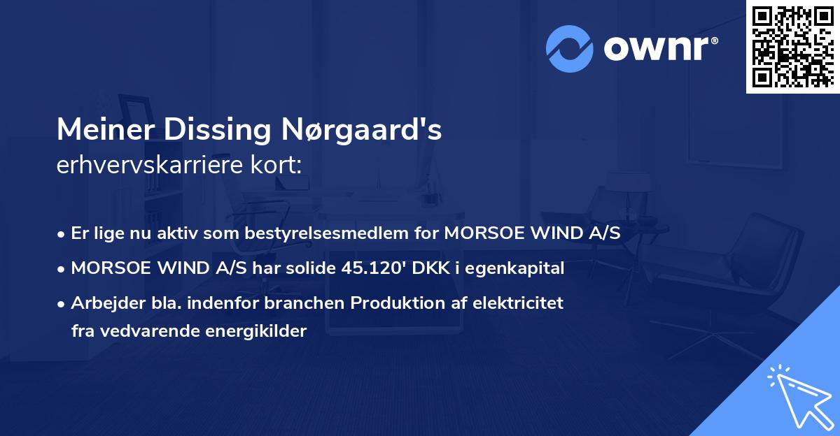 Meiner Dissing Nørgaard's erhvervskarriere kort