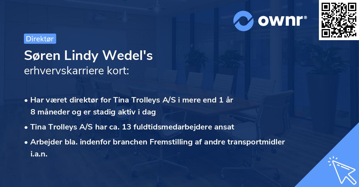 Søren Lindy Wedel's erhvervskarriere kort