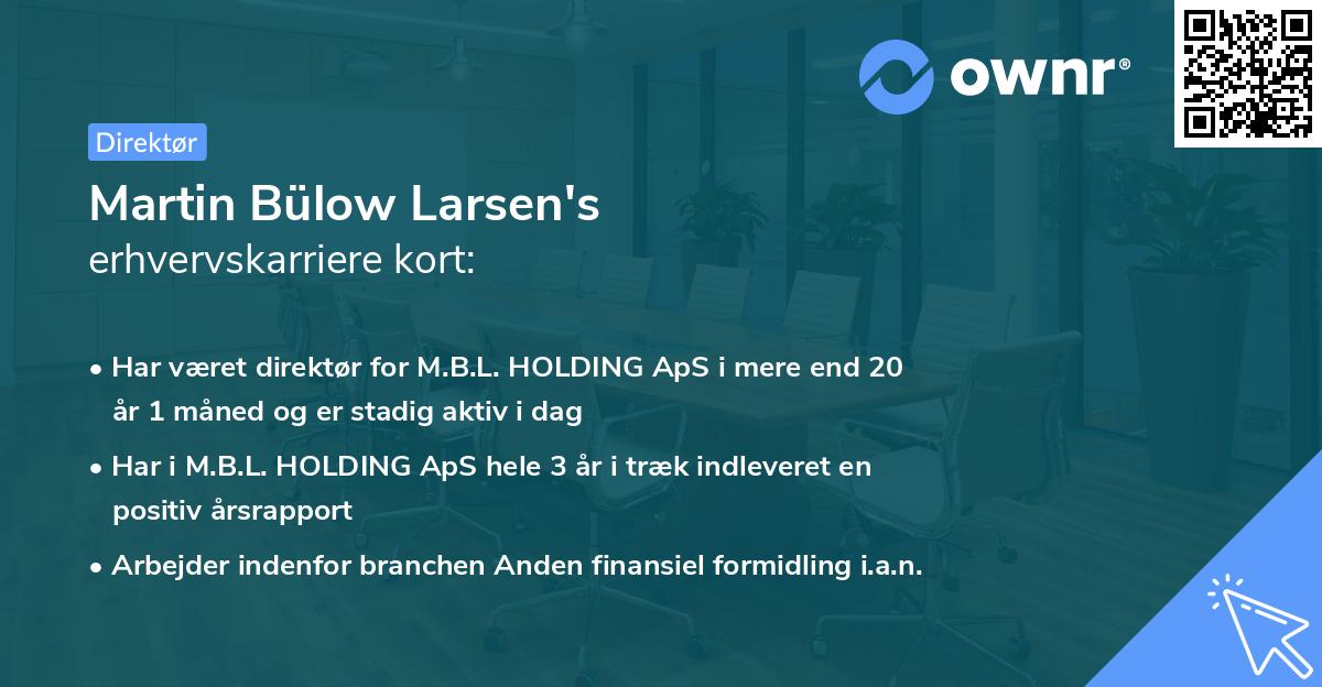Martin Bülow Larsen's erhvervskarriere kort
