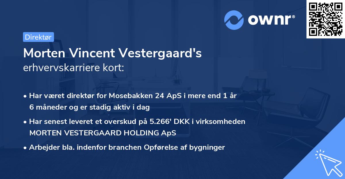Morten Vincent Vestergaard's erhvervskarriere kort