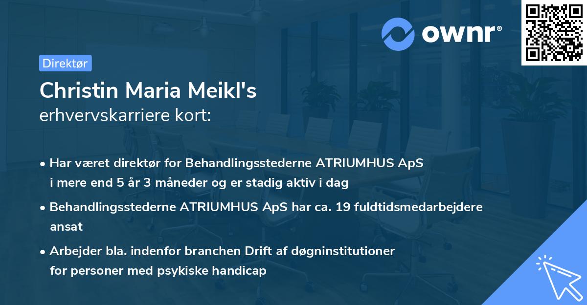 Christin Maria Meikl's erhvervskarriere kort