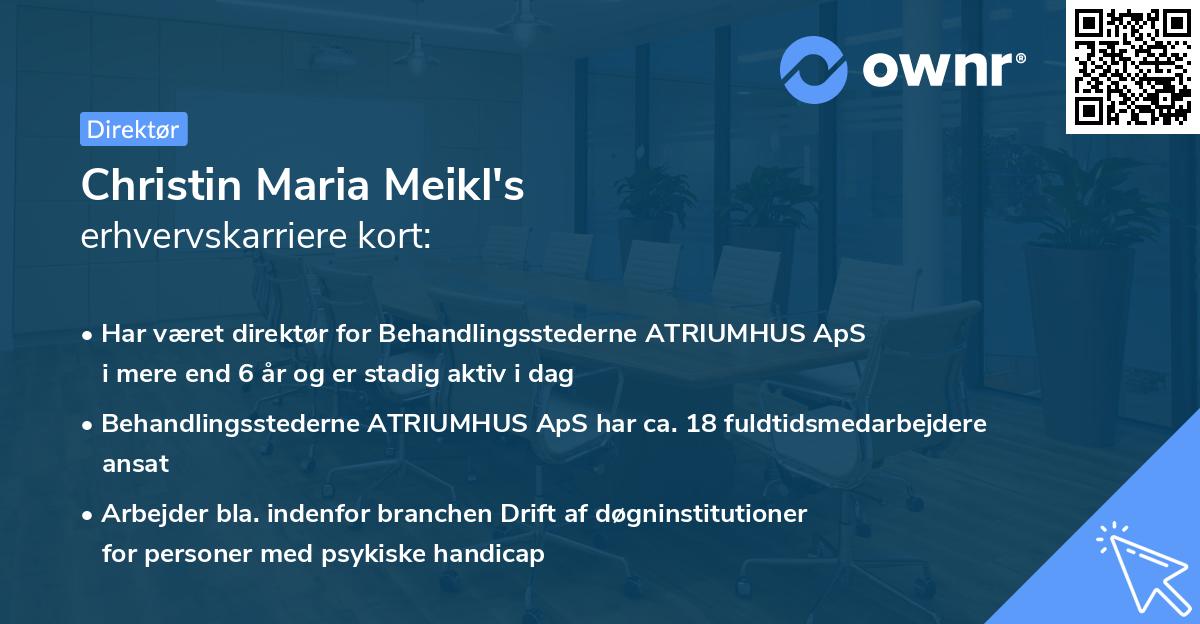 Christin Maria Meikl's erhvervskarriere kort