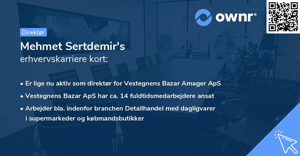 Mehmet Sertdemir's erhvervskarriere kort