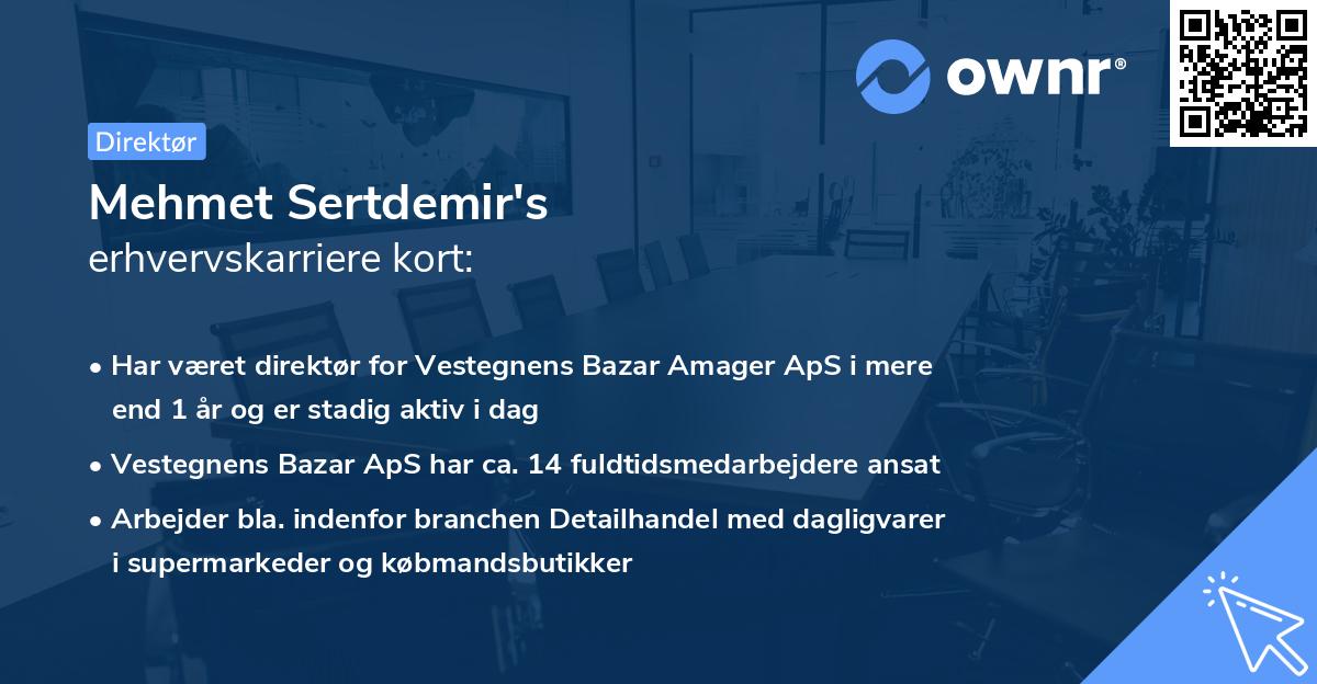 Mehmet Sertdemir's erhvervskarriere kort