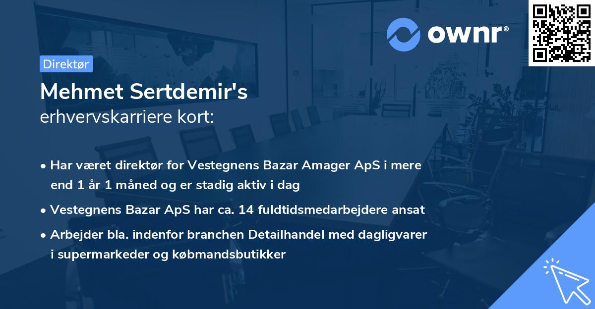 Mehmet Sertdemir's erhvervskarriere kort