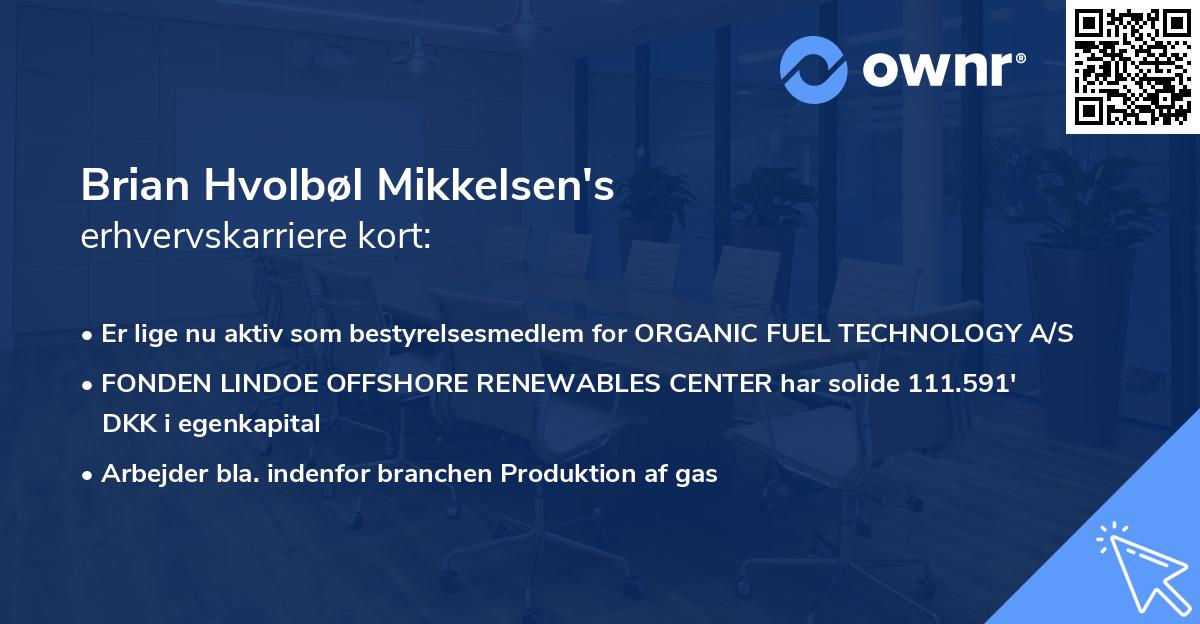 Brian Hvolbøl Mikkelsen's erhvervskarriere kort