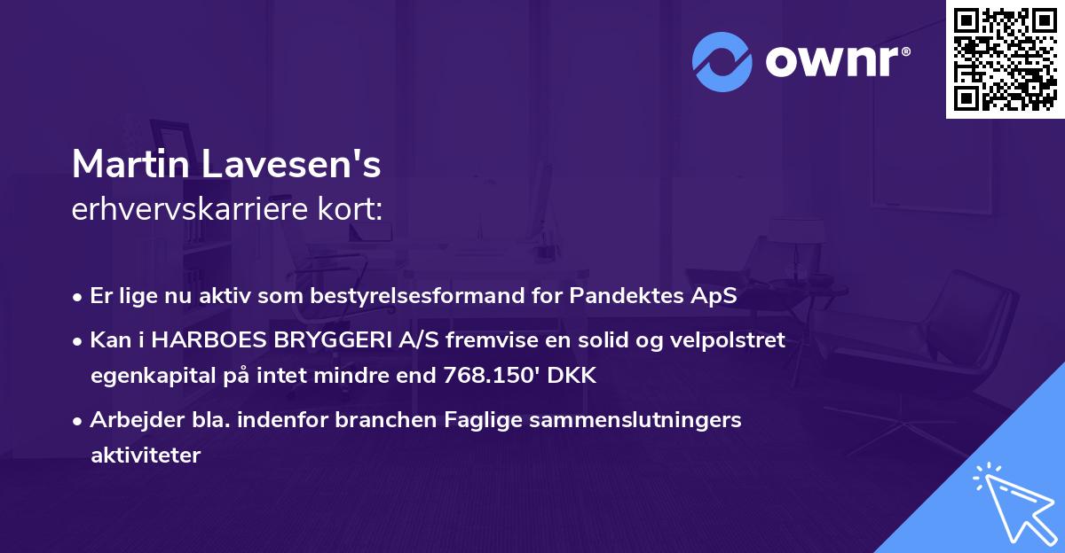 Martin Lavesen's erhvervskarriere kort