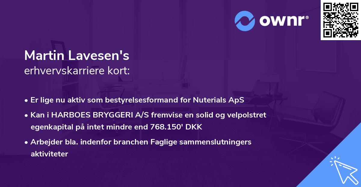 Martin Lavesen's erhvervskarriere kort