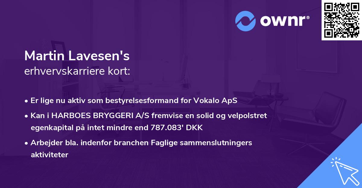 Martin Lavesen's erhvervskarriere kort