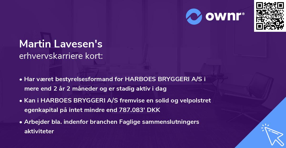 Martin Lavesen's erhvervskarriere kort