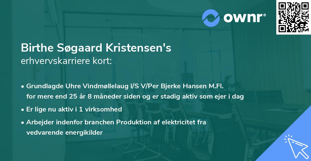 Birthe Søgaard Kristensen's erhvervskarriere kort