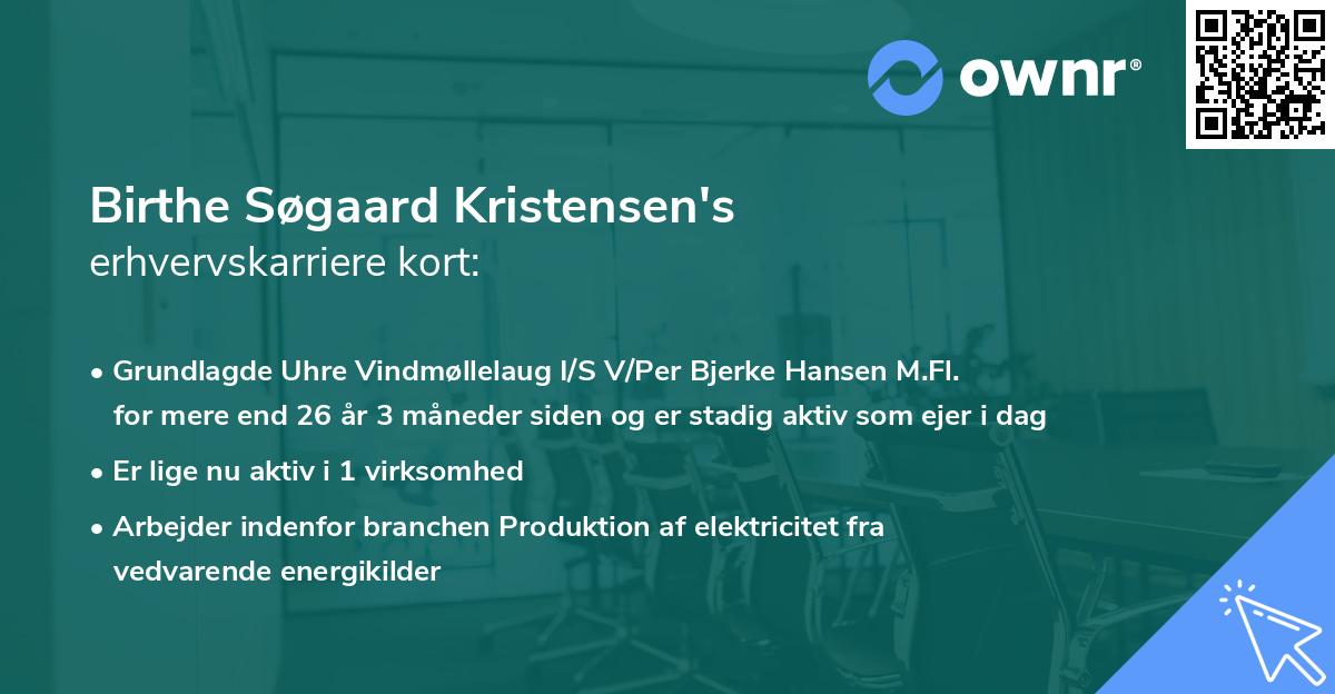 Birthe Søgaard Kristensen's erhvervskarriere kort