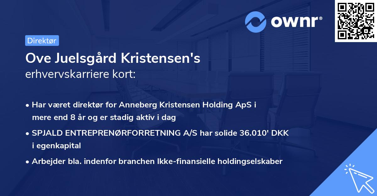 Ove Juelsgård Kristensen's erhvervskarriere kort