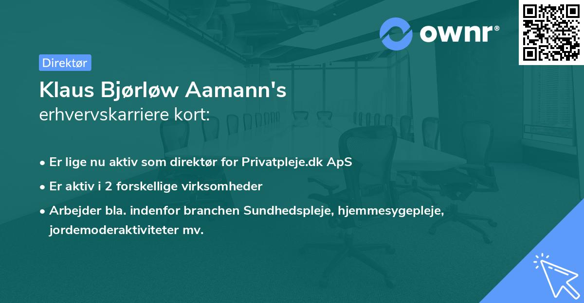 Klaus Bjørløw Aamann's erhvervskarriere kort