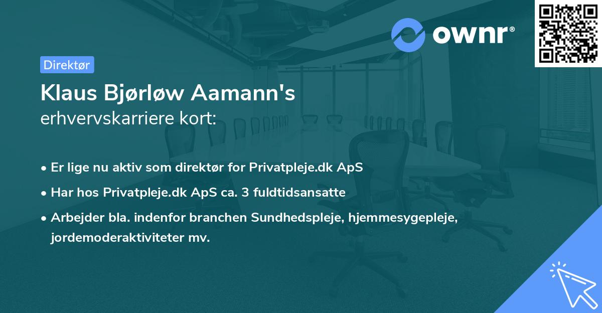 Klaus Bjørløw Aamann's erhvervskarriere kort