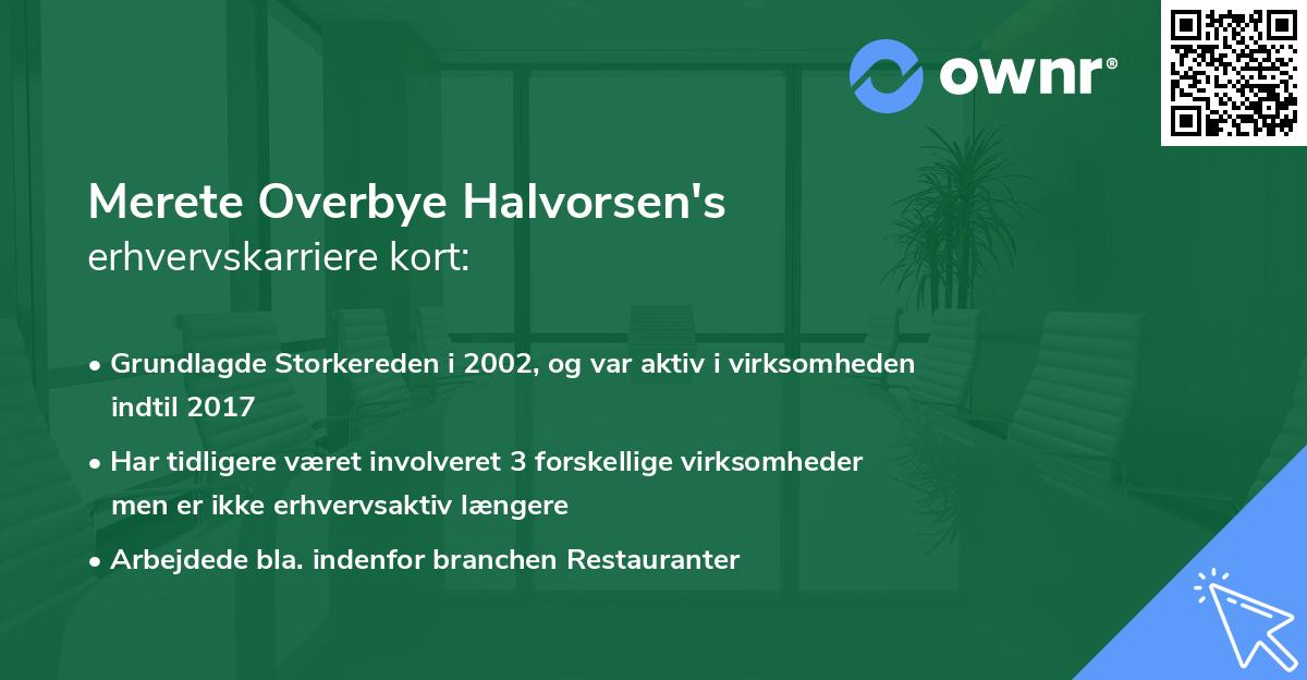 Merete Overbye Halvorsen's erhvervskarriere kort