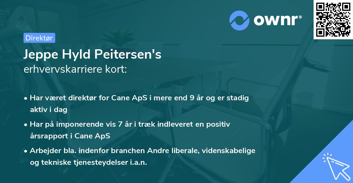 Jeppe Hyld Peitersen's erhvervskarriere kort