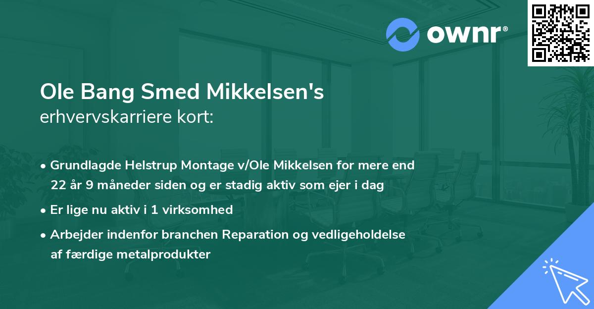 Ole Bang Smed Mikkelsen's erhvervskarriere kort
