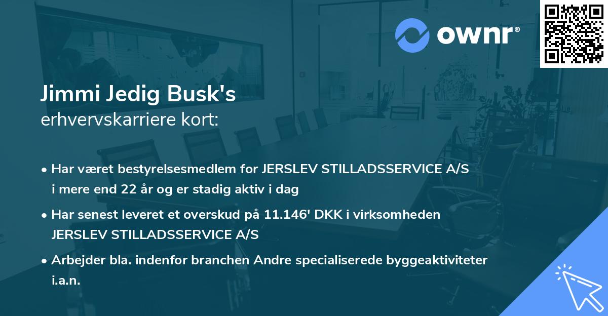 Jimmi Jedig Busk's erhvervskarriere kort