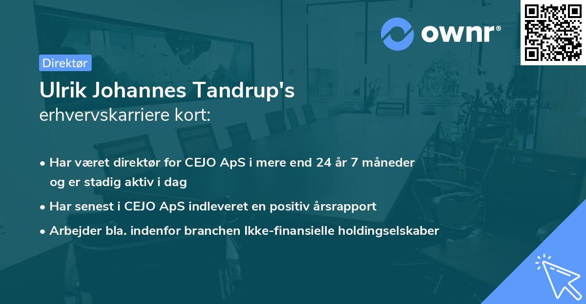 Ulrik Johannes Tandrup's erhvervskarriere kort