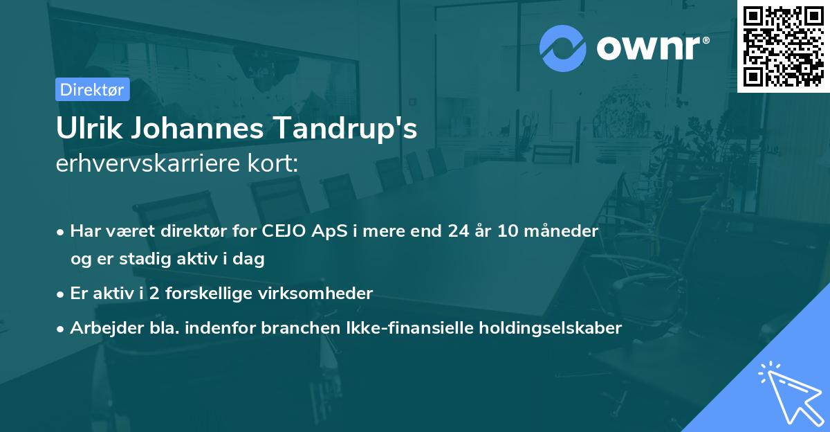 Ulrik Johannes Tandrup's erhvervskarriere kort